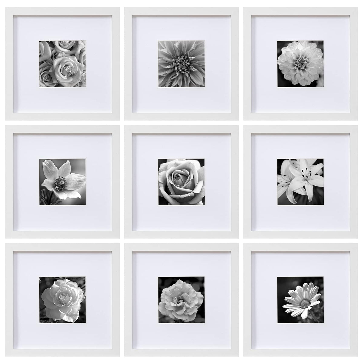 eletecpro Picture Frames Set of 9, 12x12 in, Acrylic Cover, Black