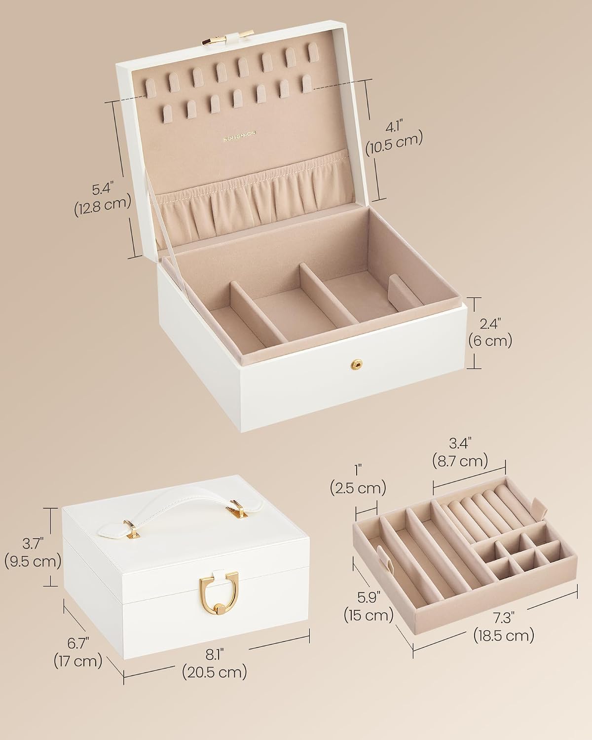 SONGMICS 2-Layer Jewelry Box, Jewelry Organizer with Handle, Removable Tray