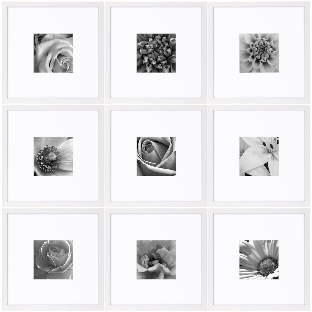 eletecpro Picture Frames Set of 9, 12x12 in, Acrylic Cover, Black
