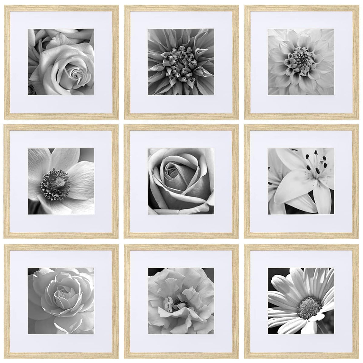 eletecpro Picture Frames Set of 9, 12x12 in, Acrylic Cover, Black