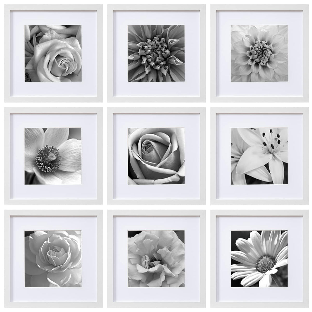 eletecpro Picture Frames Set of 9, 12x12 in, Acrylic Cover, Black
