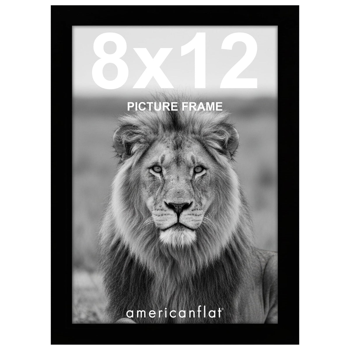 Americanflat 11x17 Picture Frame - Engineered Wood - Black