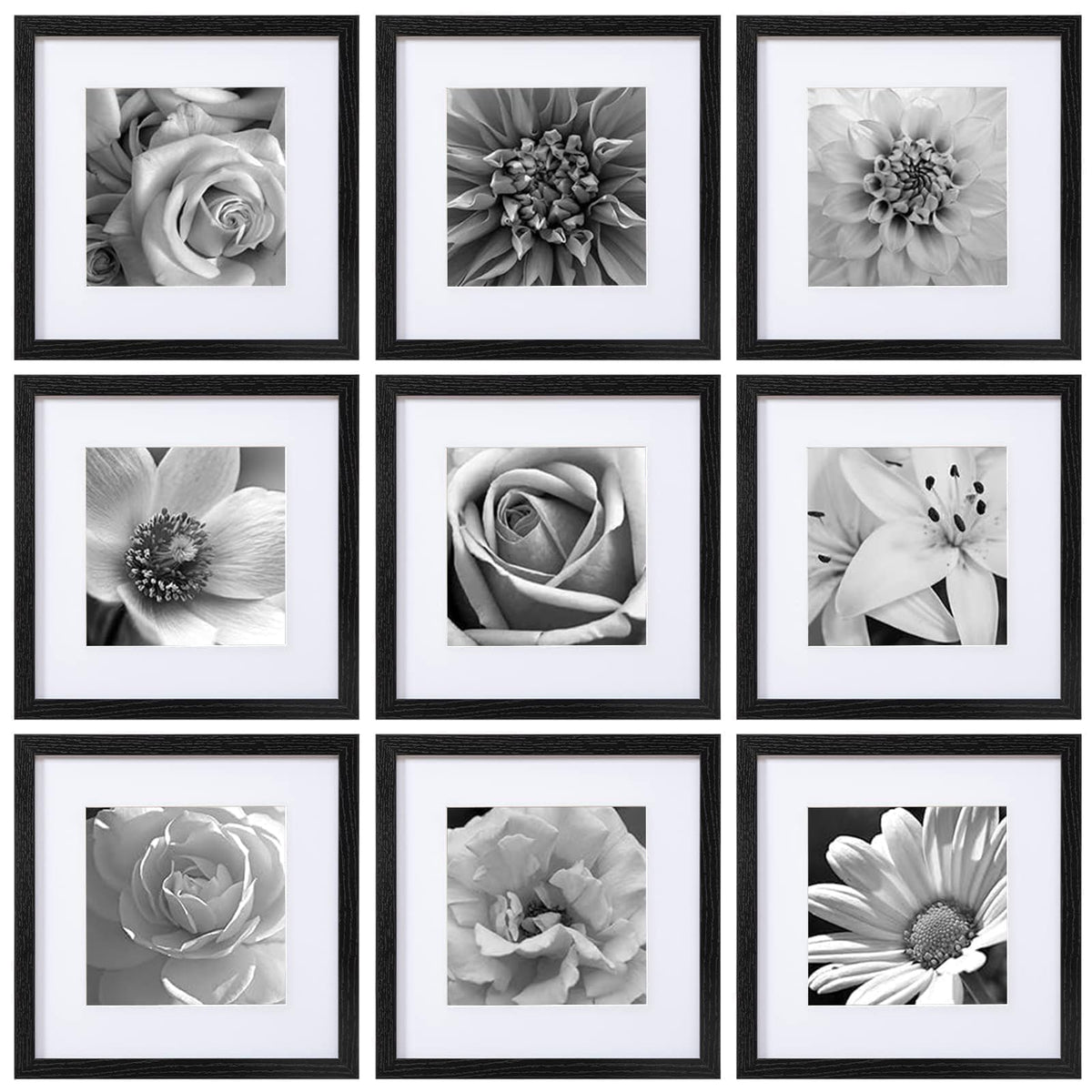 eletecpro Picture Frames Set of 9, 12x12 in, Acrylic Cover, Black