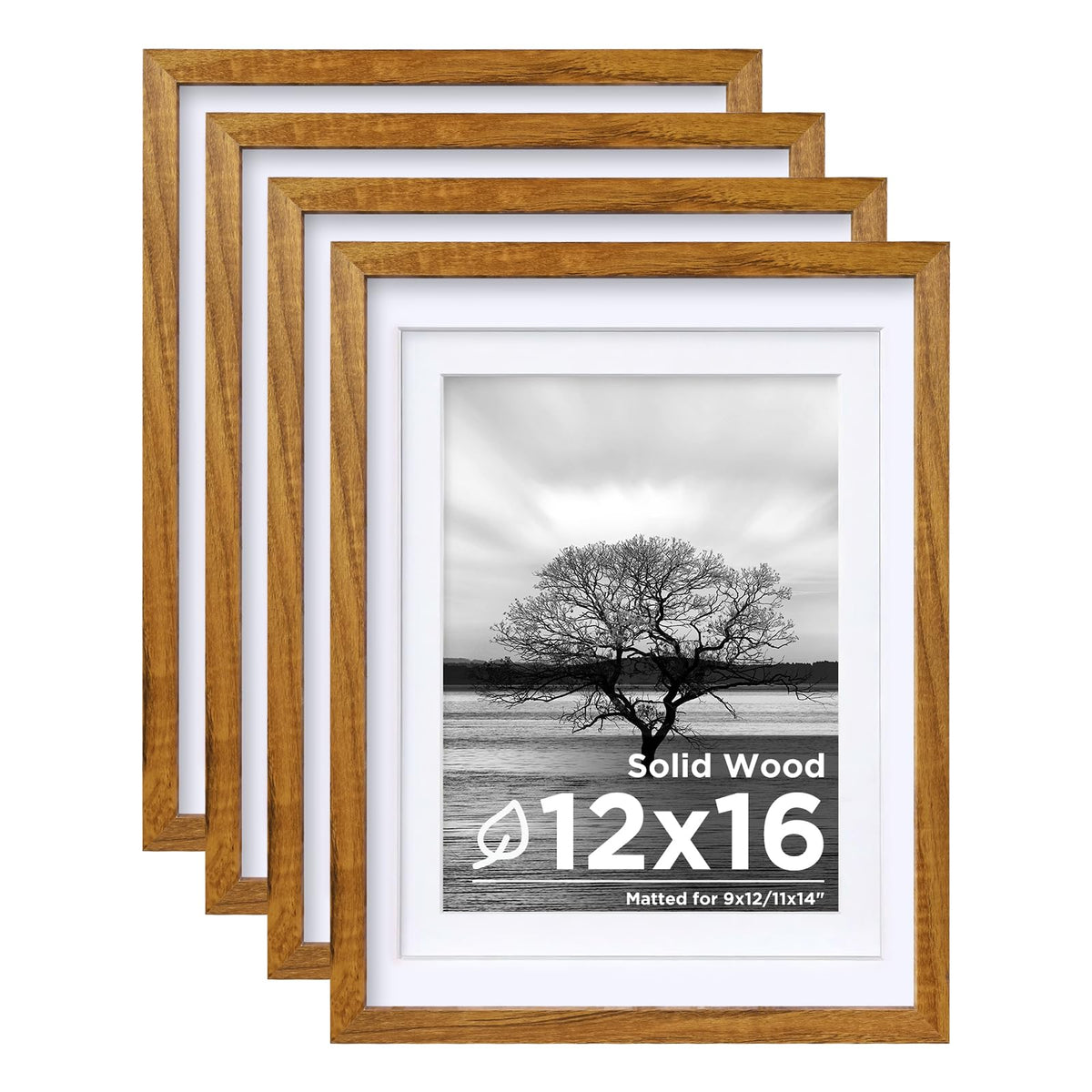 Egofine 8x10 Picture Frames Set of 4, Made of Solid Wood Covered by Plexiglass 4x6 and 5x7 with Mat or 8x10 without Mat, for Table Top Display and Wall Mounting Photo Frame White