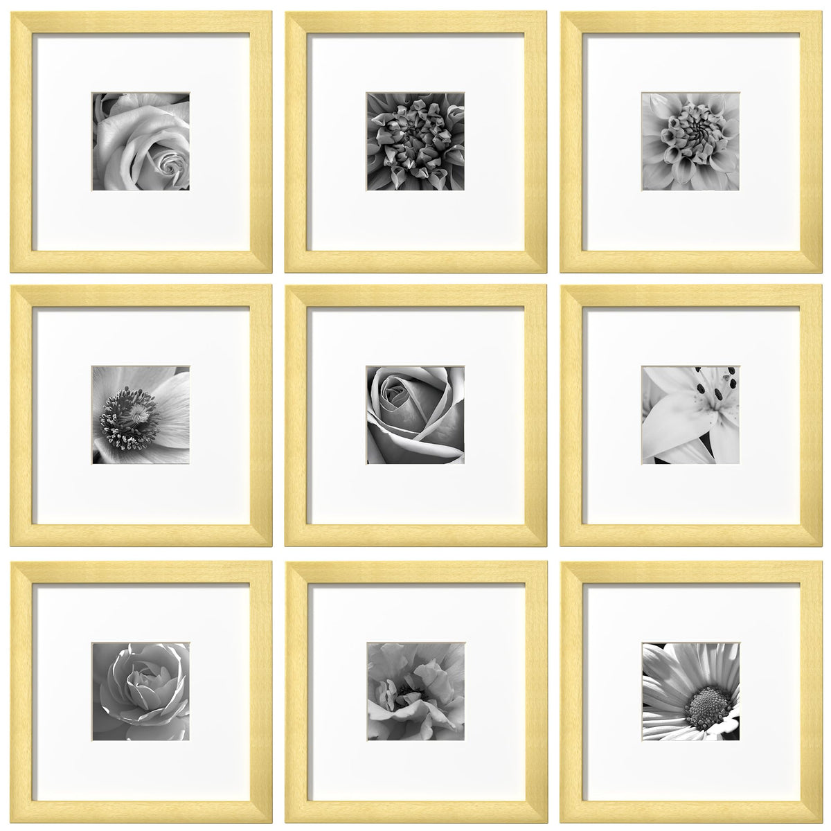 eletecpro Picture Frames Set of 9, 12x12 in, Acrylic Cover, Black