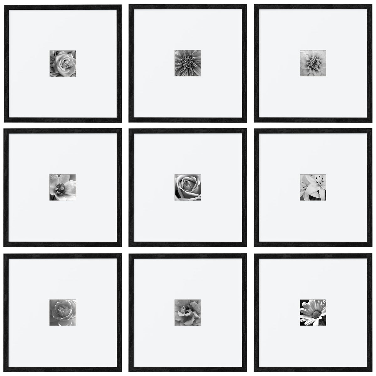 eletecpro Picture Frames Set of 9, 12x12 in, Acrylic Cover, Black