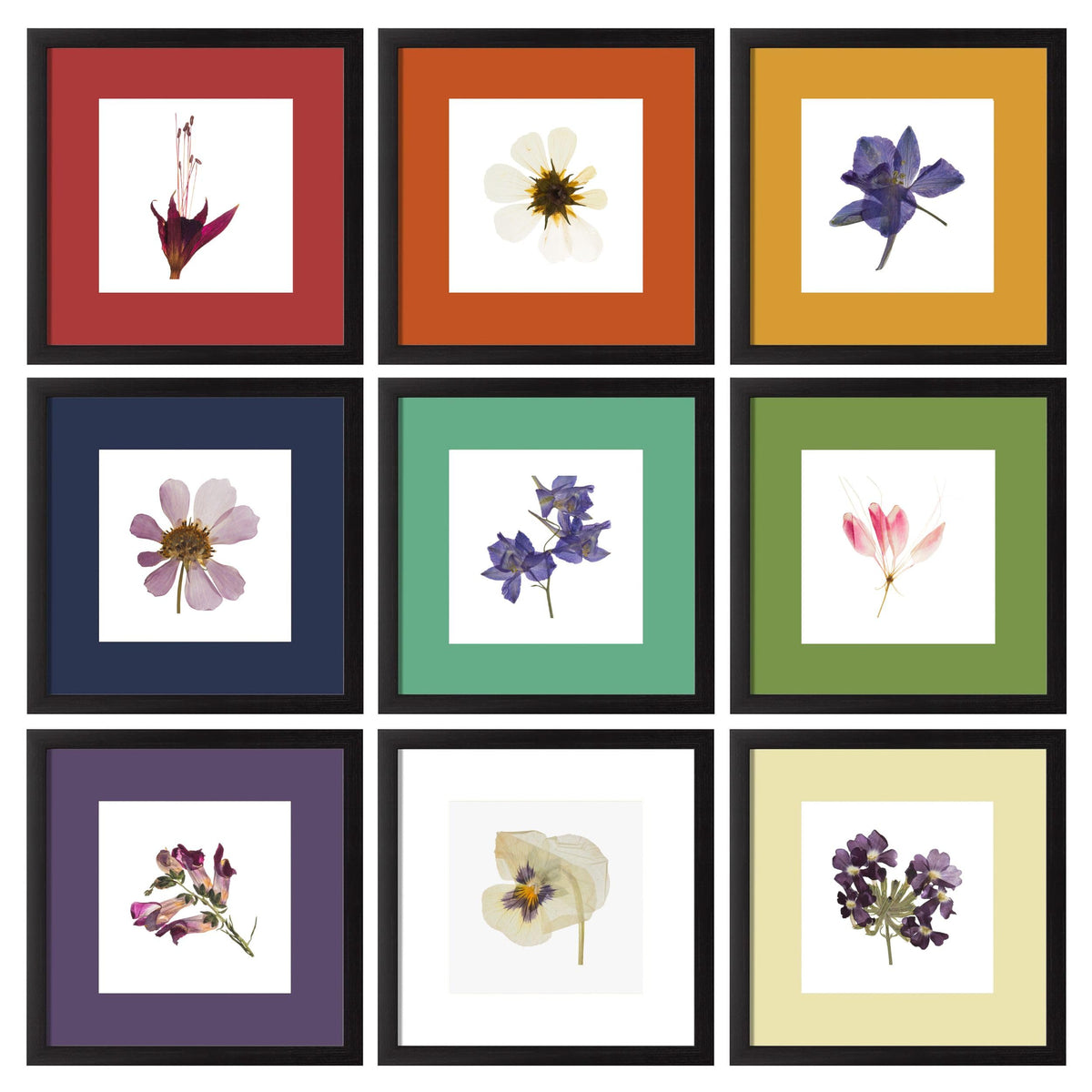 eletecpro Picture Frames Set of 9, 12x12 in, Acrylic Cover, Black