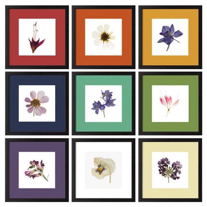 eletecpro Picture Frames Set of 9, 12x12 in, Acrylic Cover, Black