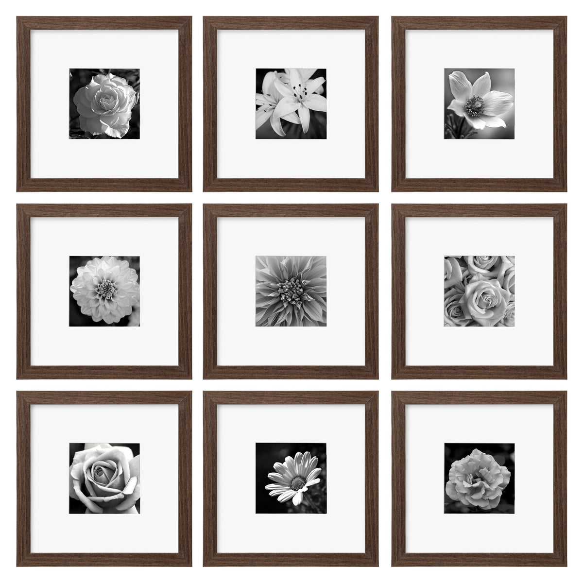 eletecpro Picture Frames Set of 9, 12x12 in, Acrylic Cover, Black