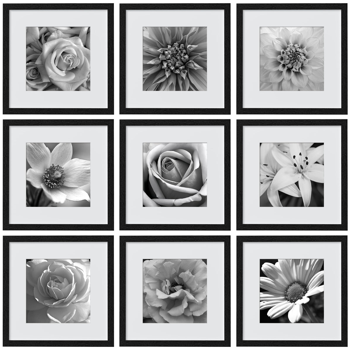 eletecpro Picture Frames Set of 9, 12x12 in, Acrylic Cover, Black