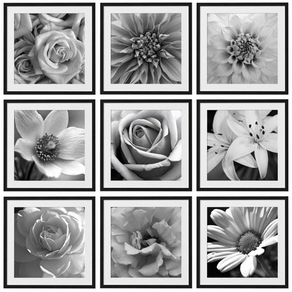 eletecpro Picture Frames Set of 9, 12x12 in, Acrylic Cover, Black