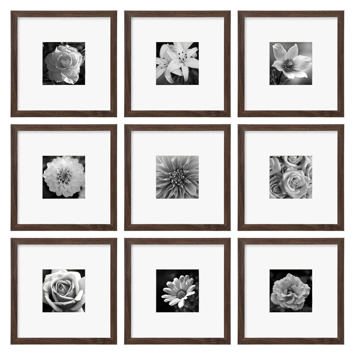 eletecpro Picture Frames Set of 9, 12x12 in, Acrylic Cover, Black