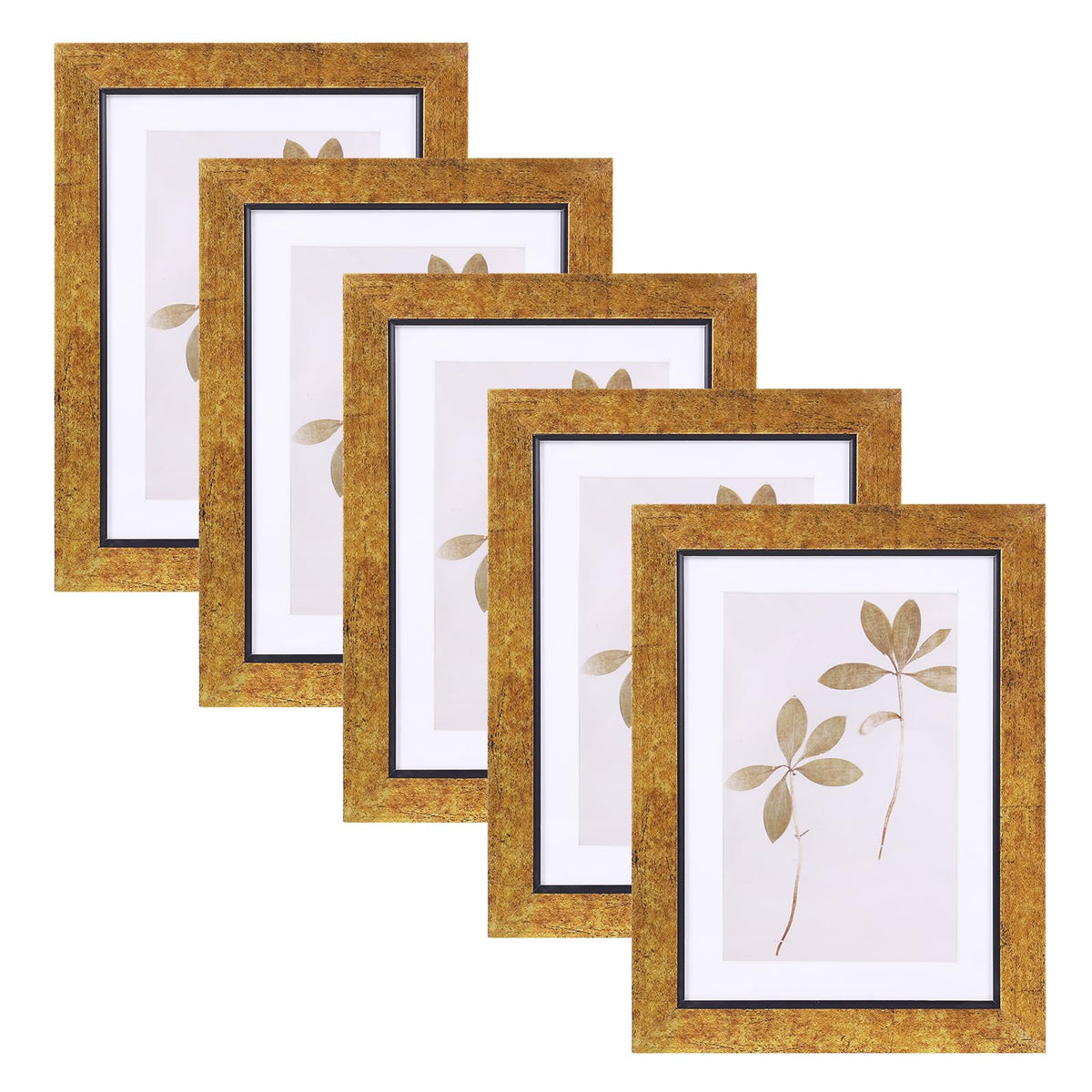 Fixwal 5x7 Picture Frame Set of 5 with Tempered Glass, Multicolor