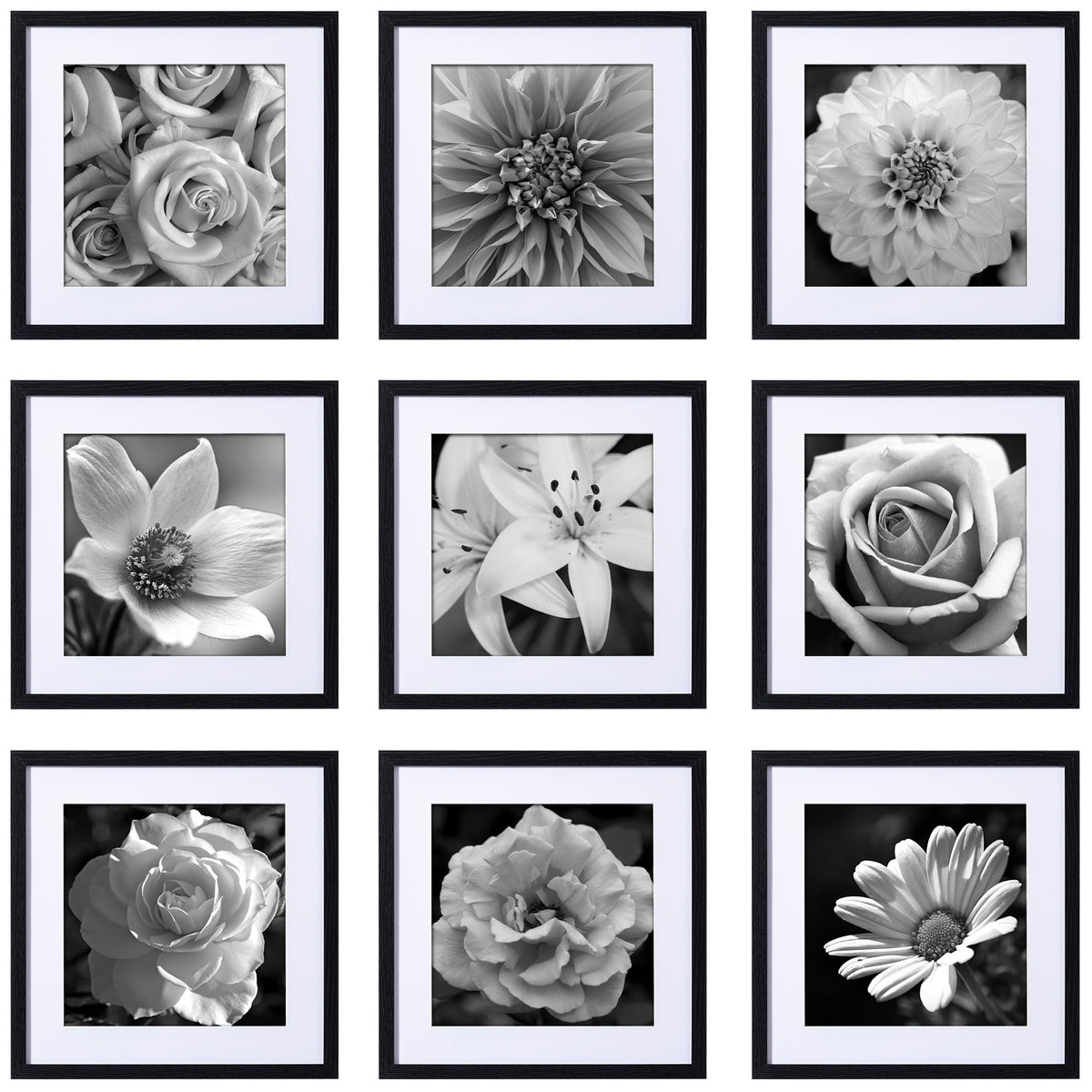 eletecpro Picture Frames Set of 9, 12x12 in, Acrylic Cover, Black