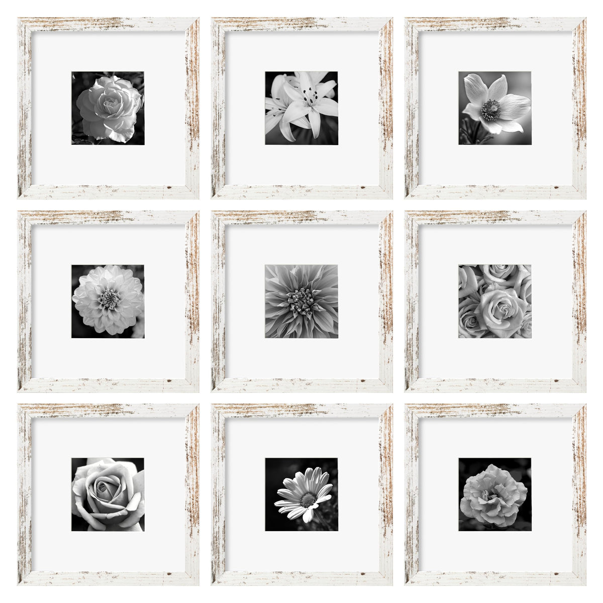eletecpro Picture Frames Set of 9, 12x12 in, Acrylic Cover, Black