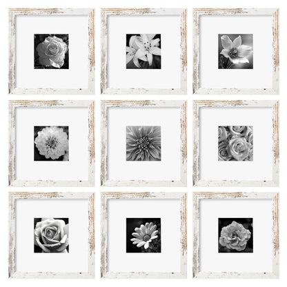 eletecpro Picture Frames Set of 9, 12x12 in, Acrylic Cover, Black