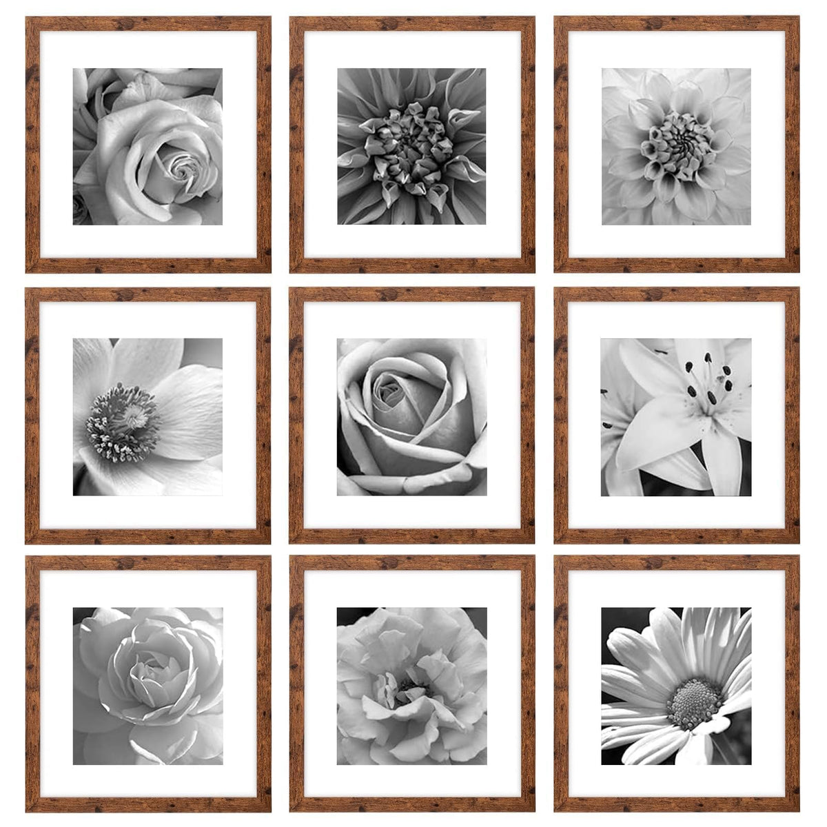 eletecpro Picture Frames Set of 9, 12x12 in, Acrylic Cover, Black