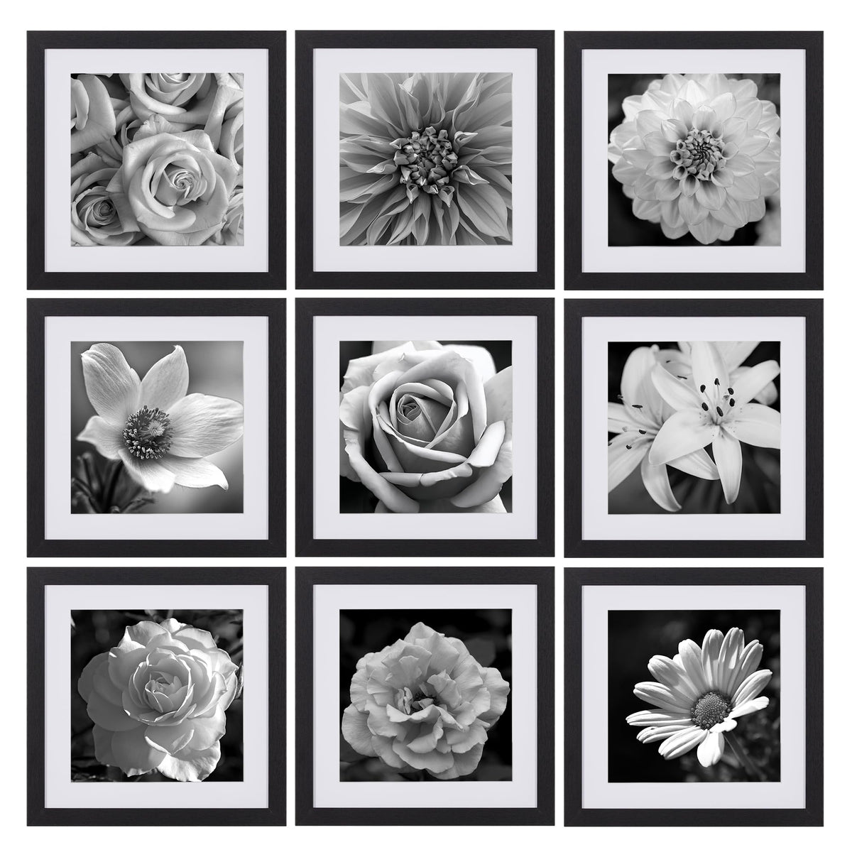 eletecpro Picture Frames Set of 9, 12x12 in, Acrylic Cover, Black