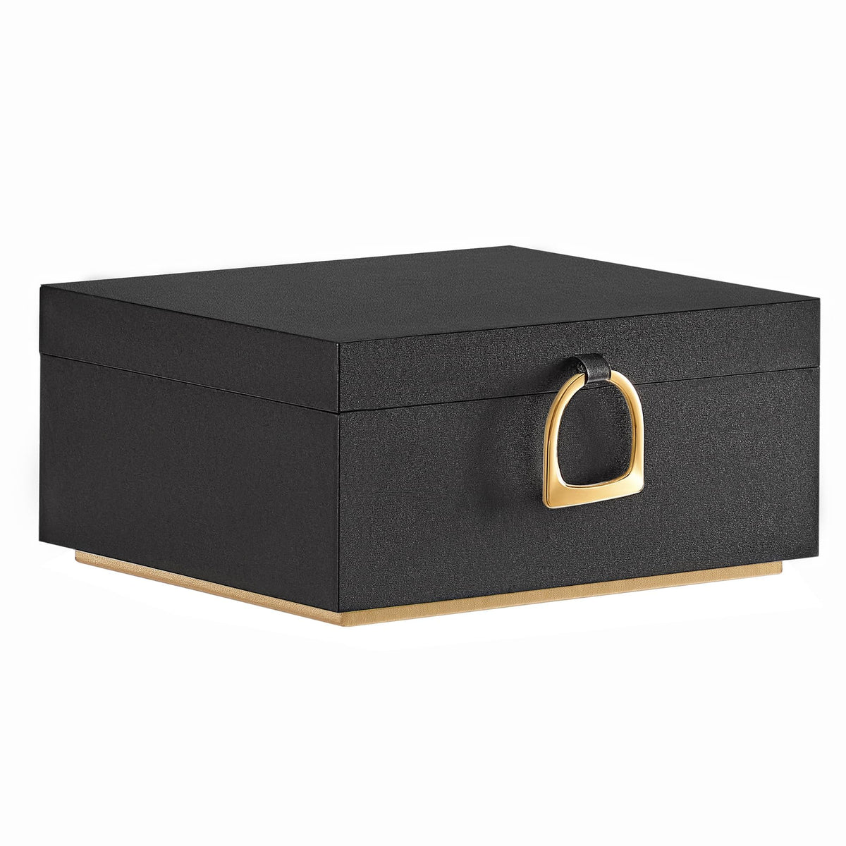 SONGMICS 2-Layer Jewelry Box with Handle, Removable Tray, Floating Effect