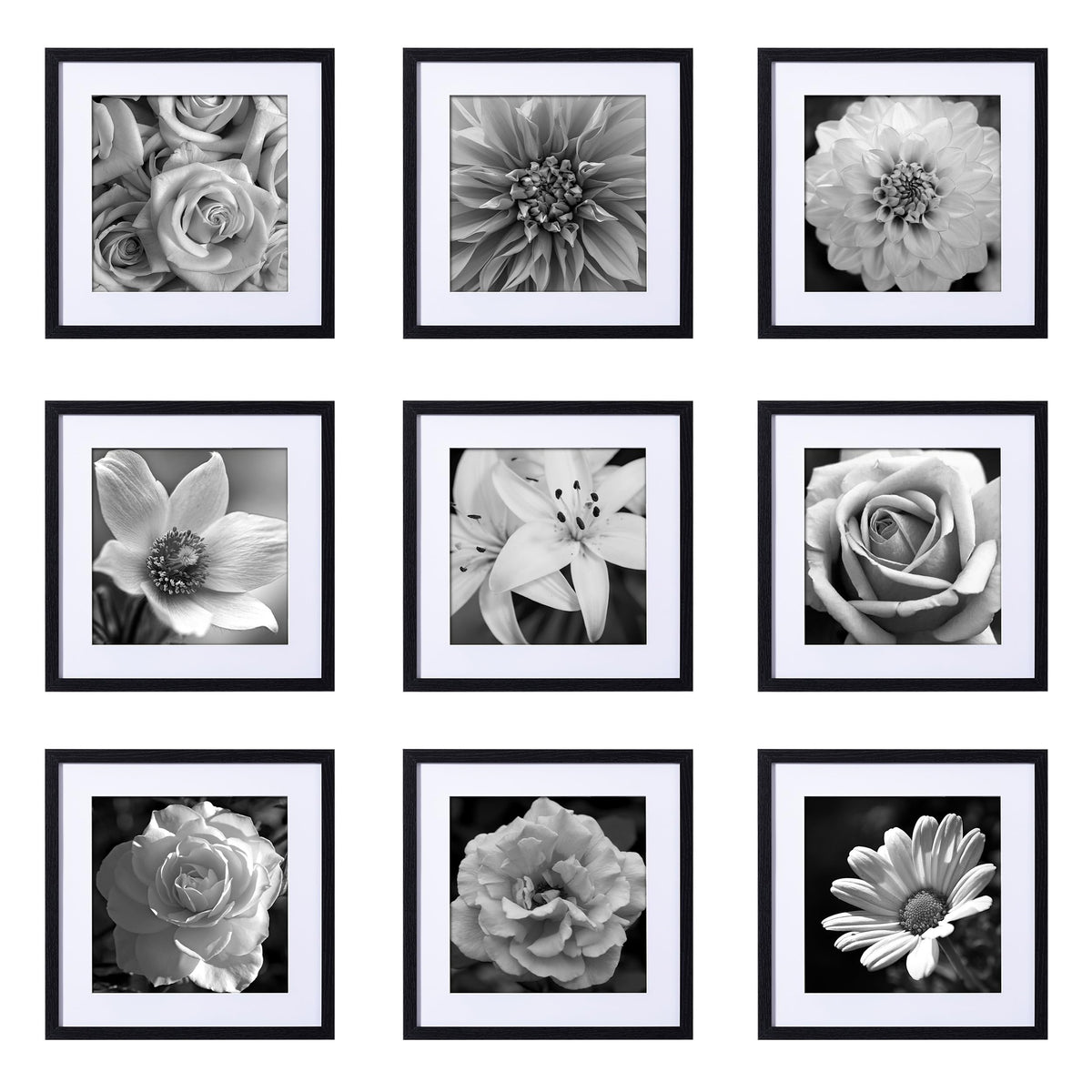 eletecpro Picture Frames Set of 9, 12x12 in, Acrylic Cover, Black