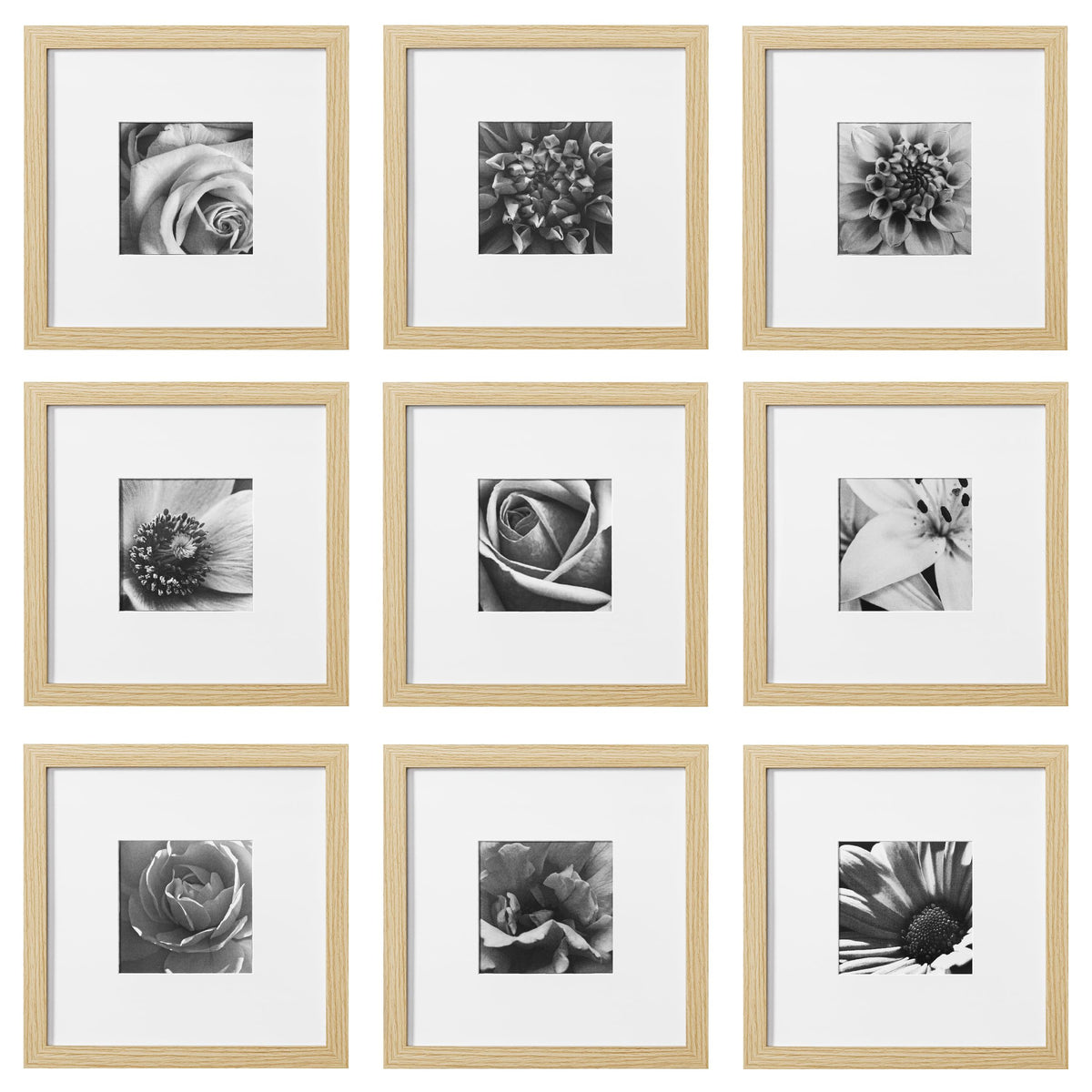 eletecpro Picture Frames Set of 9, 12x12 in, Acrylic Cover, Black