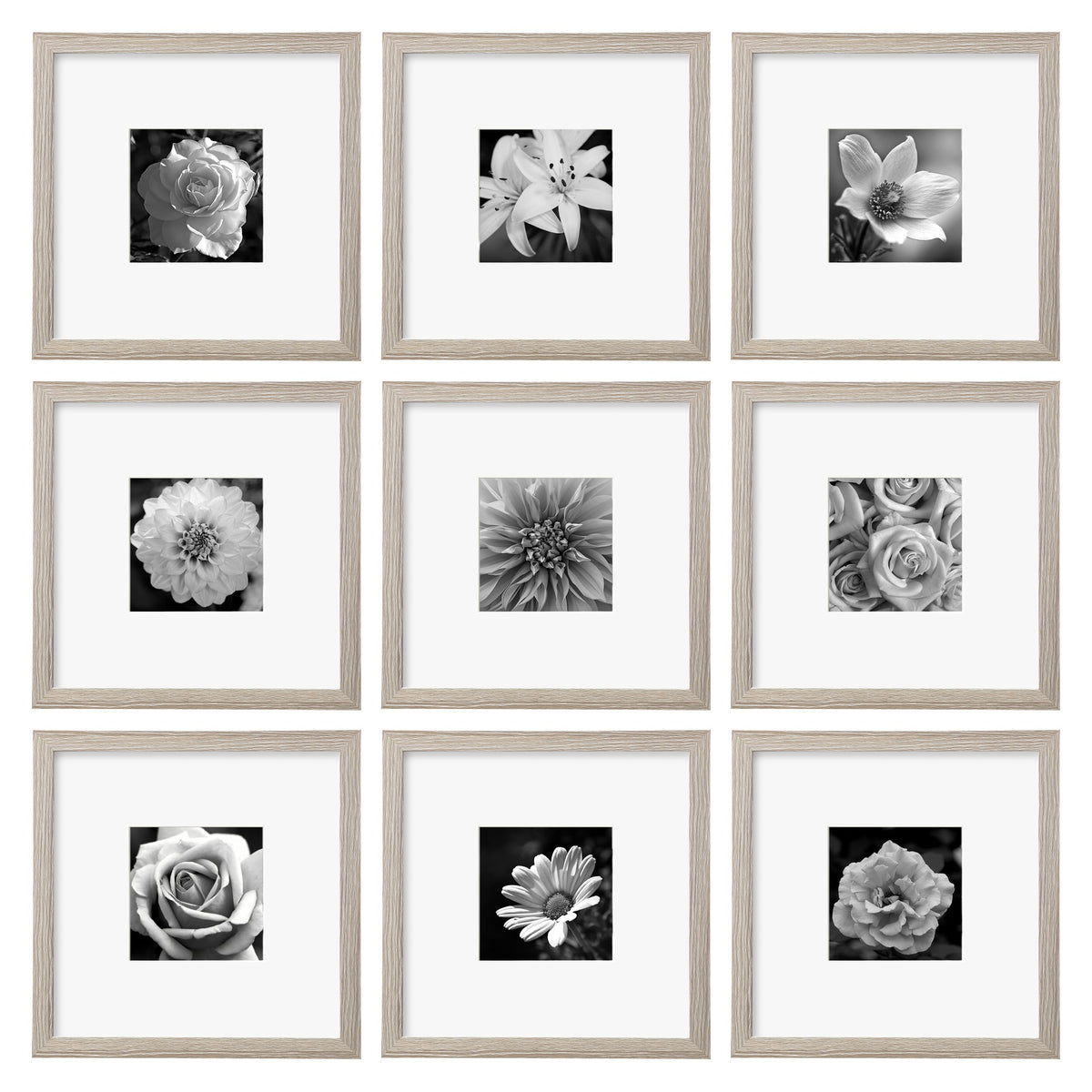 eletecpro Picture Frames Set of 9, 12x12 in, Acrylic Cover, Black