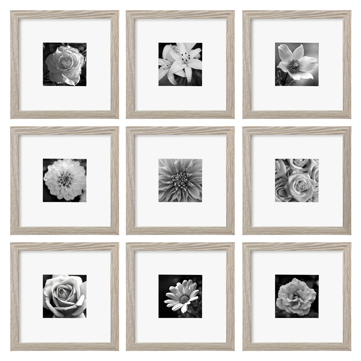 eletecpro Picture Frames Set of 9, 12x12 in, Acrylic Cover, Black
