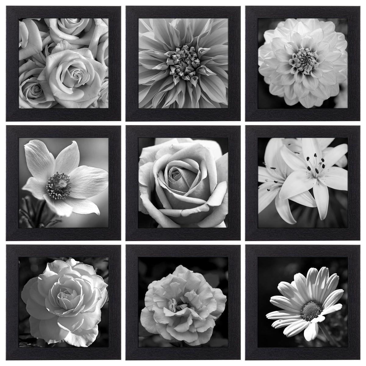 eletecpro Picture Frames Set of 9, 12x12 in, Acrylic Cover, Black