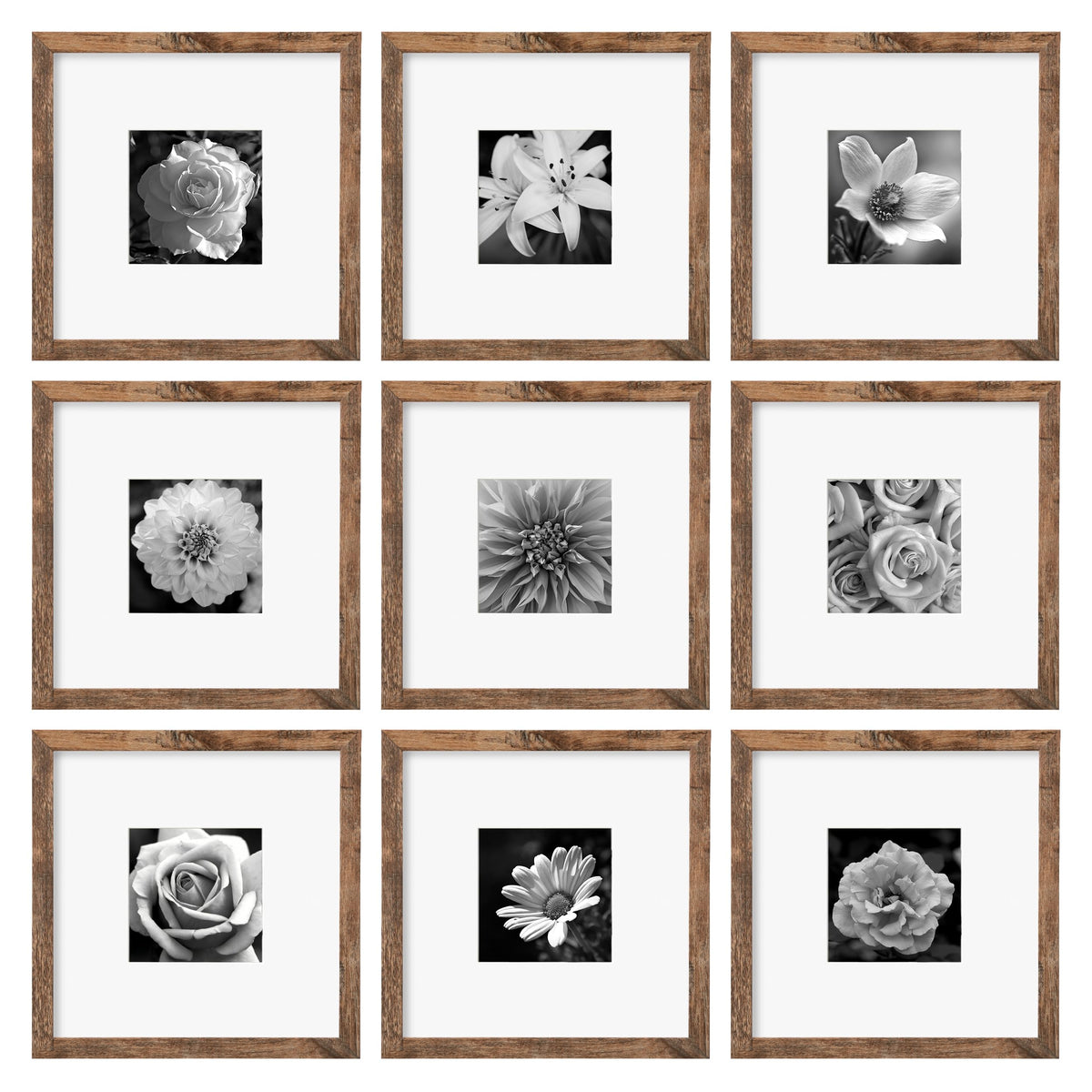 eletecpro Picture Frames Set of 9, 12x12 in, Acrylic Cover, Black