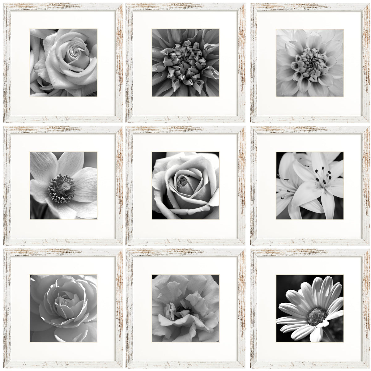 eletecpro Picture Frames Set of 9, 12x12 in, Acrylic Cover, Black