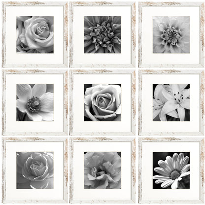 eletecpro Picture Frames Set of 9, 12x12 in, Acrylic Cover, Black