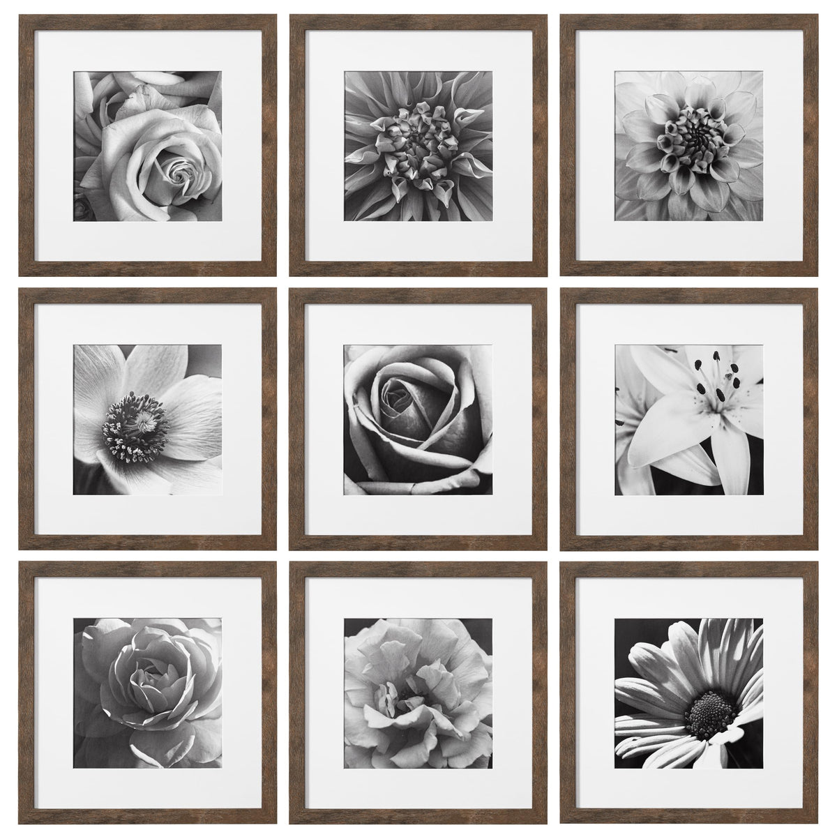 eletecpro Picture Frames Set of 9, 12x12 in, Acrylic Cover, Black