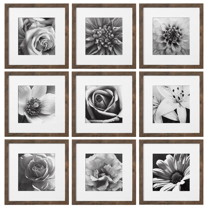 eletecpro Picture Frames Set of 9, 12x12 in, Acrylic Cover, Black