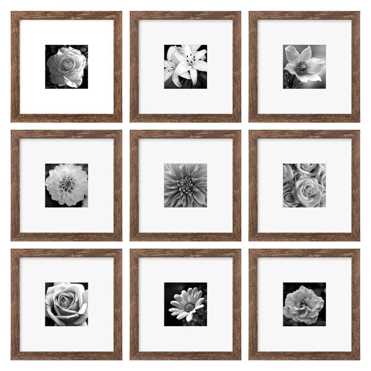 eletecpro Picture Frames Set of 9, 12x12 in, Acrylic Cover, Black